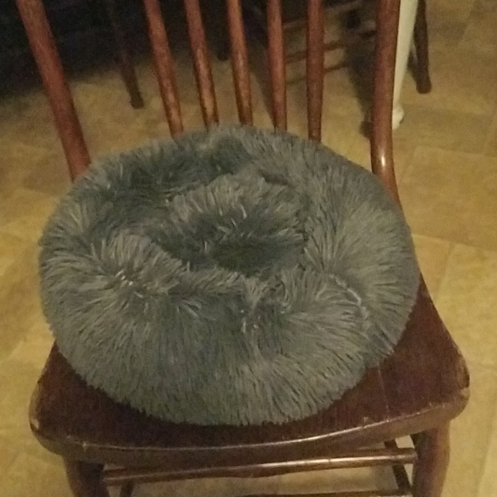 small dog bed